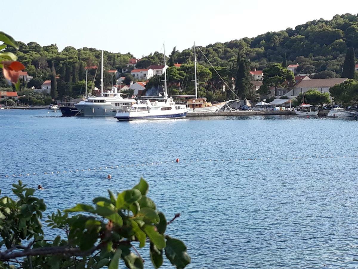 Apartmani Kljunak Zaton  Dış mekan fotoğraf